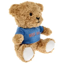 Best Dad Bear Soft Toy