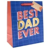 Best Dad Ever Large Portrait Gift Bag