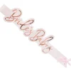 Brides Babes Paper Sashes - Pack of 5