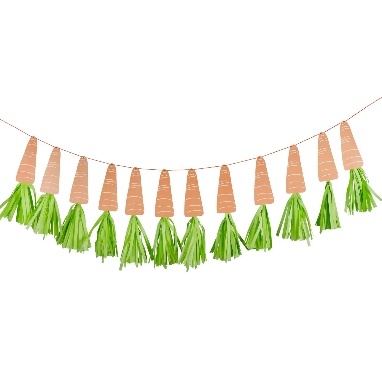 Carrot Tassel Banner 2m
