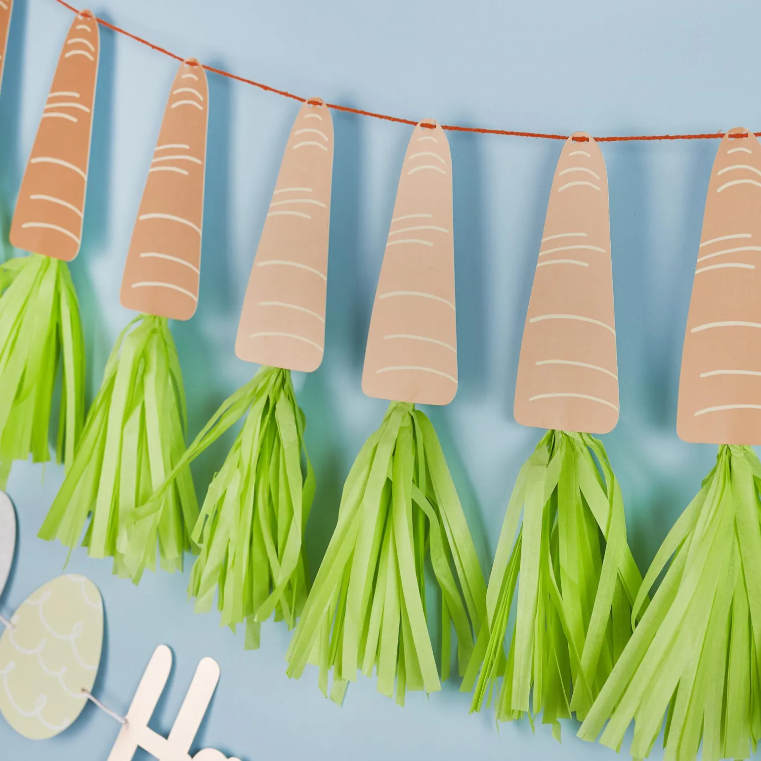 Carrot Tassel Banner 2m