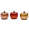 Decorative Pumpkin Minis - Pack of 3