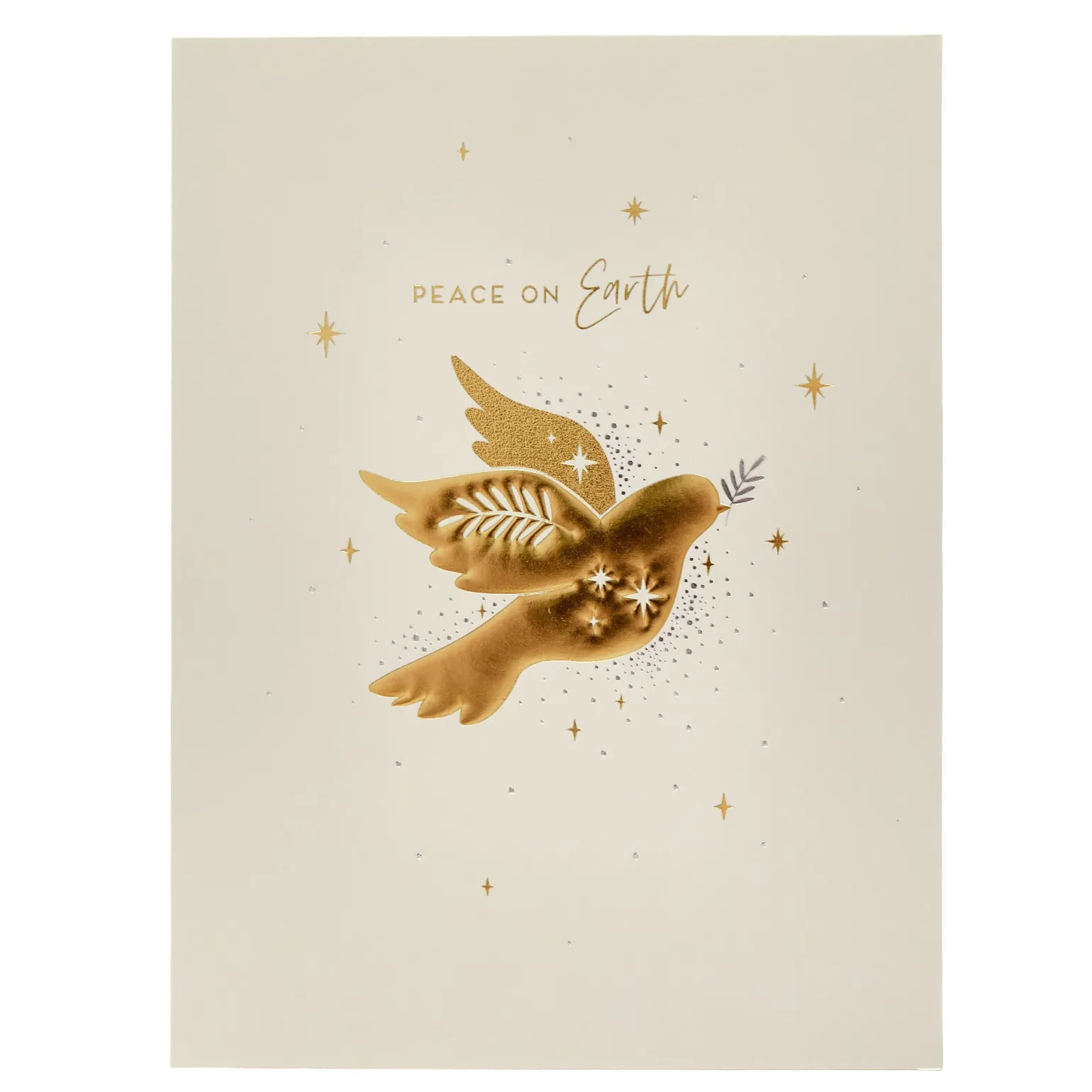 Deluxe Religious Charity Christmas Cards - Pack of 10 (2 Designs) | cardfactory