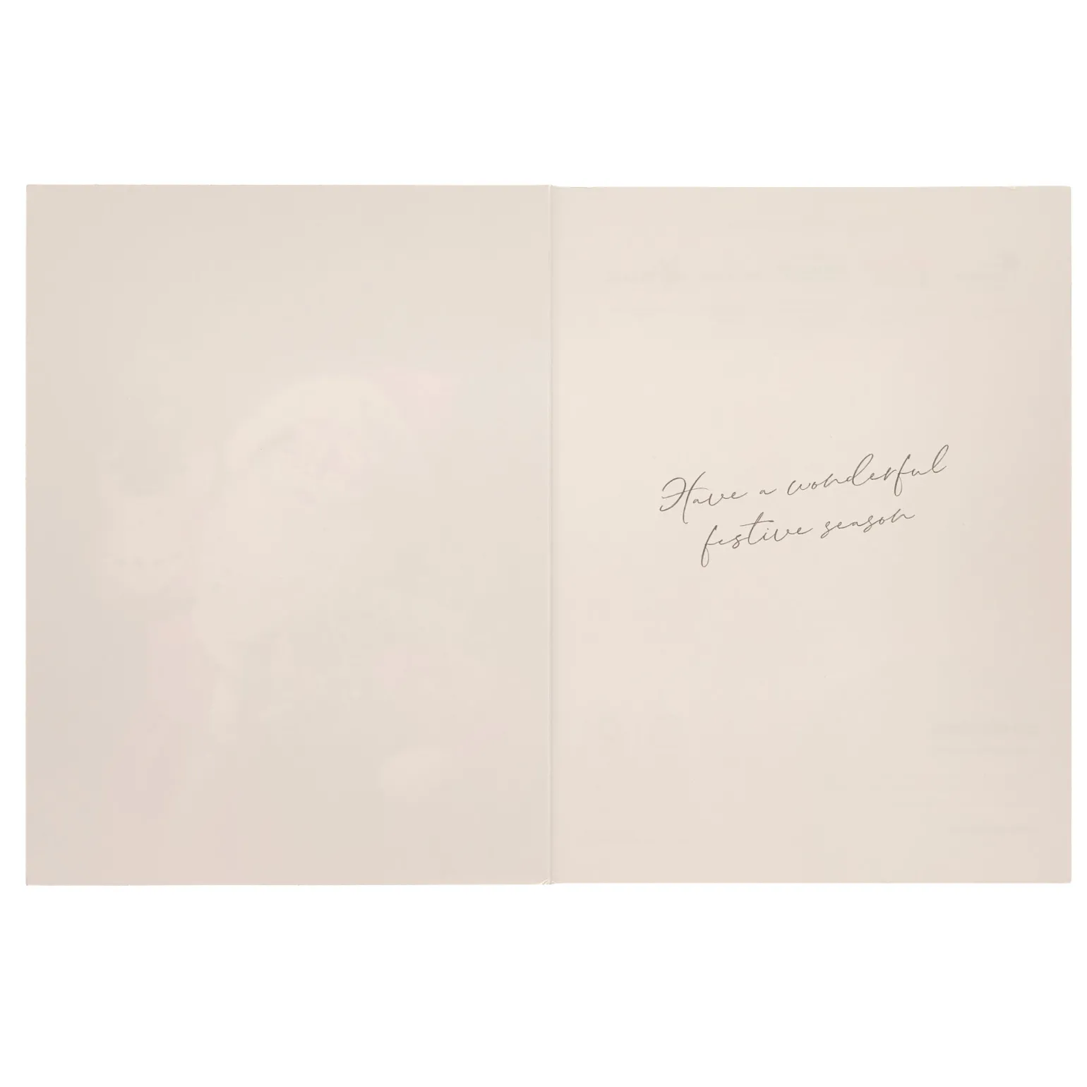 Deluxe Santa Charity Christmas Cards - Pack of 10 (2 Designs)