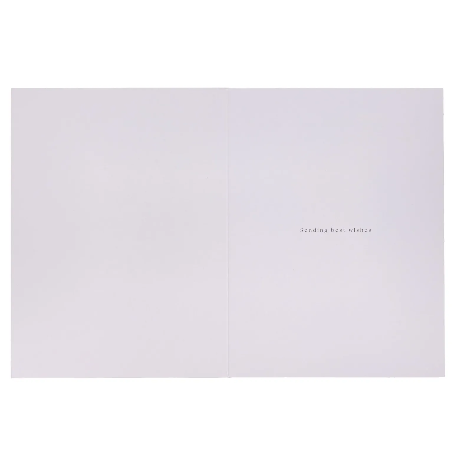 Deluxe Skating Scene Charity Christmas Cards - Pack of 10 (2 Designs)