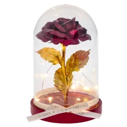 For My Forever Love Light-Up Rose in a Dome