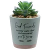 Good Friends Root For Each Other Artificial Succulent
