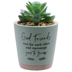 Good Friends Root For Each Other Artificial Succulent