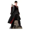 Large Harry Potter Quidditch Captain Cardboard Cutout