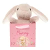 Lovely Mummy Cute Bunny Soft Toy in a Bag