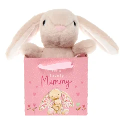 Lovely Mummy Cute Bunny Soft Toy in a Bag