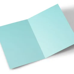 Personalised Birthday Card - Booze, Presents & Balloons, Nephew