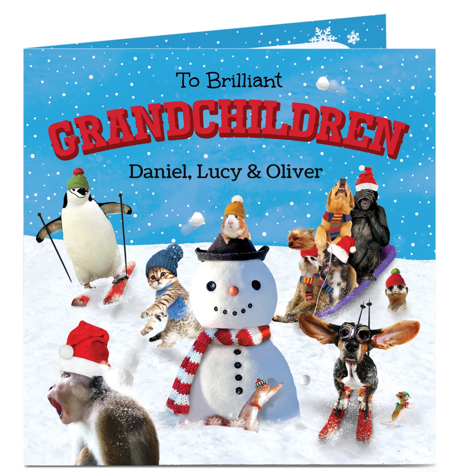Personalised Christmas Card - Brilliant Grandchildren Snow Scene