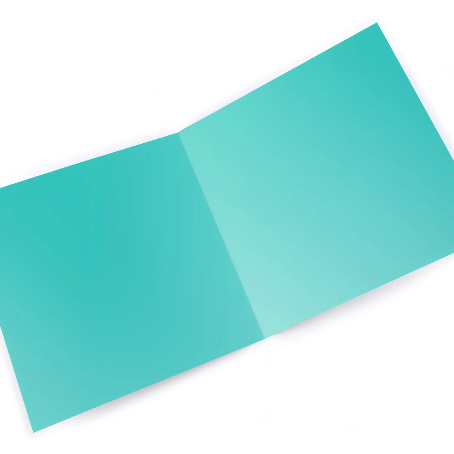 Personalised Congratulations Card - Sausage Dog Couple