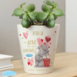Personalised Me To You Love Grows Plant Pot