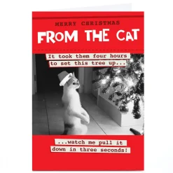 Personalised Quitting Hollywood Christmas Card - From the Cat