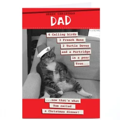 Personalised Quitting Hollywood Christmas Card - Dad Chubby Cat
