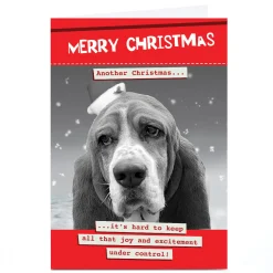 Personalised Quitting Hollywood Christmas Card - Merry Christmas Dog