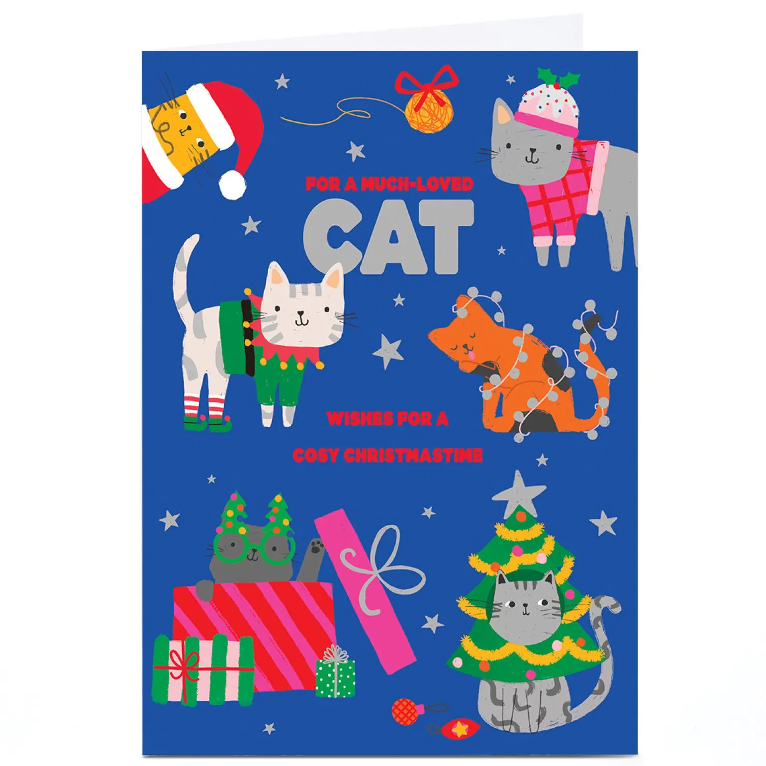 Personalised To the Cat Christmas Card - Lots of Colourful Cats