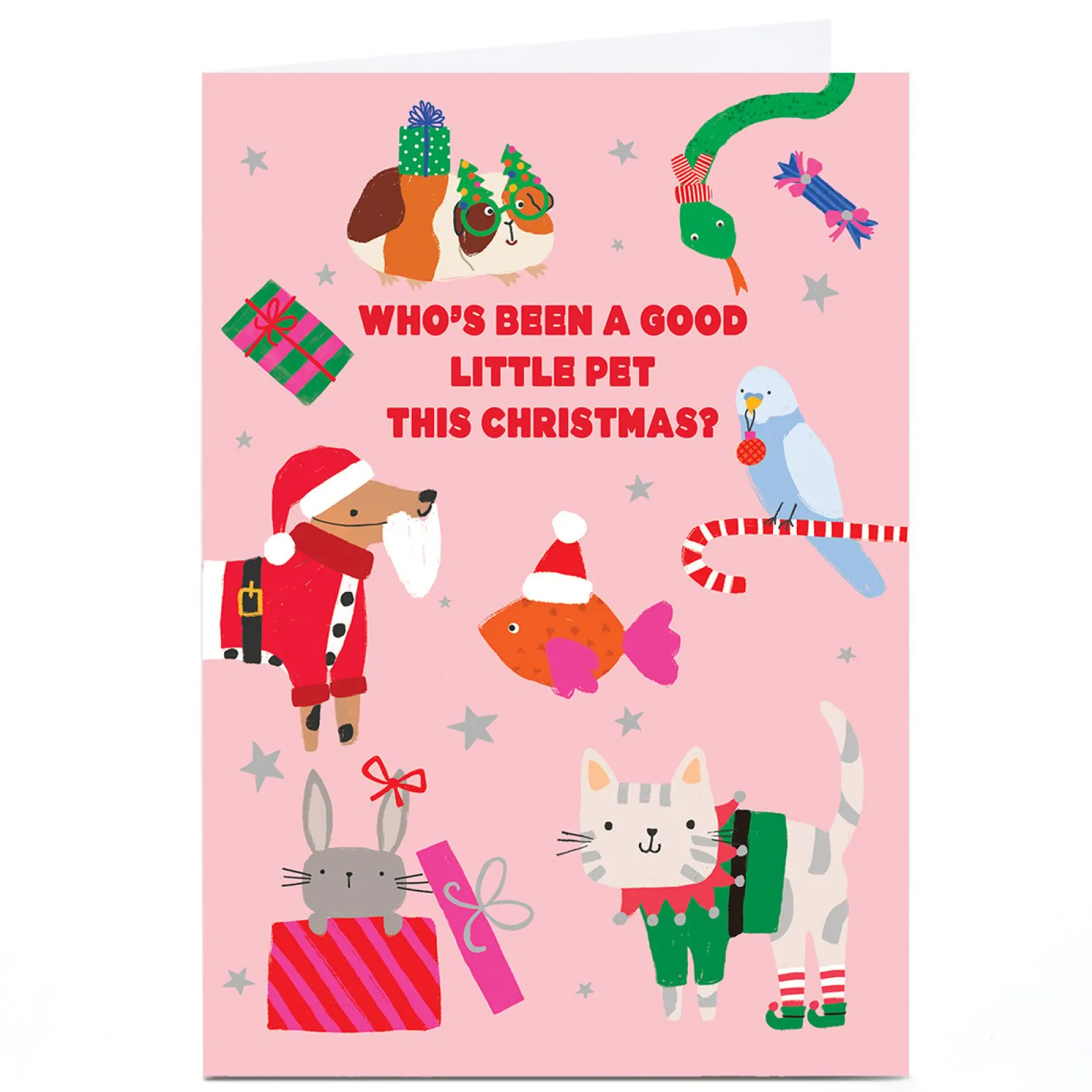 Personalised To The Pet Christmas Card - Lots of Colourful Pets