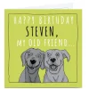 Personalised Totally Pawsome Birthday Card - My Old Friend