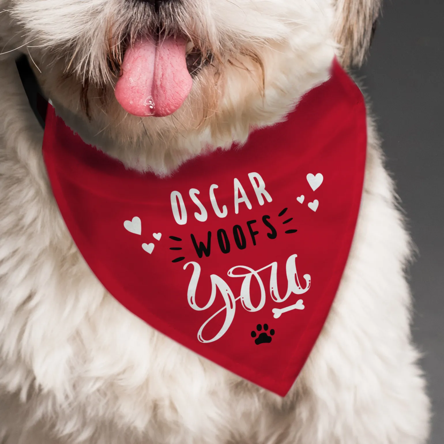 Personalised Woofs You Dog Bandana