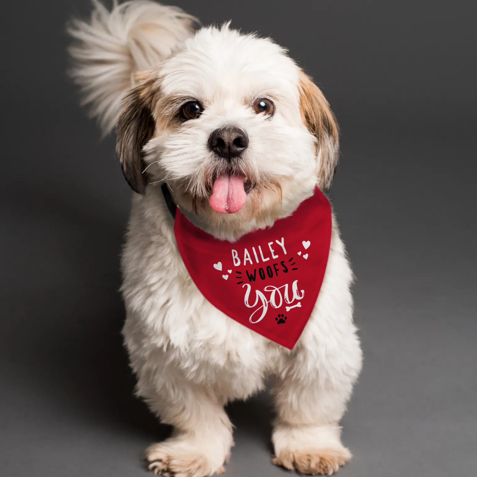 Personalised Woofs You Dog Bandana