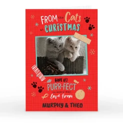 Photo Christmas Card - From The Cats