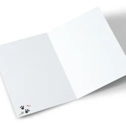 Photo Christmas Card - From The Cats