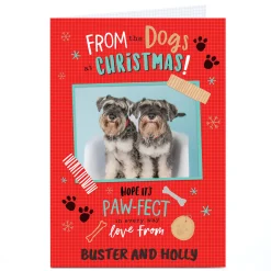 Photo Christmas Card - From The Dogs