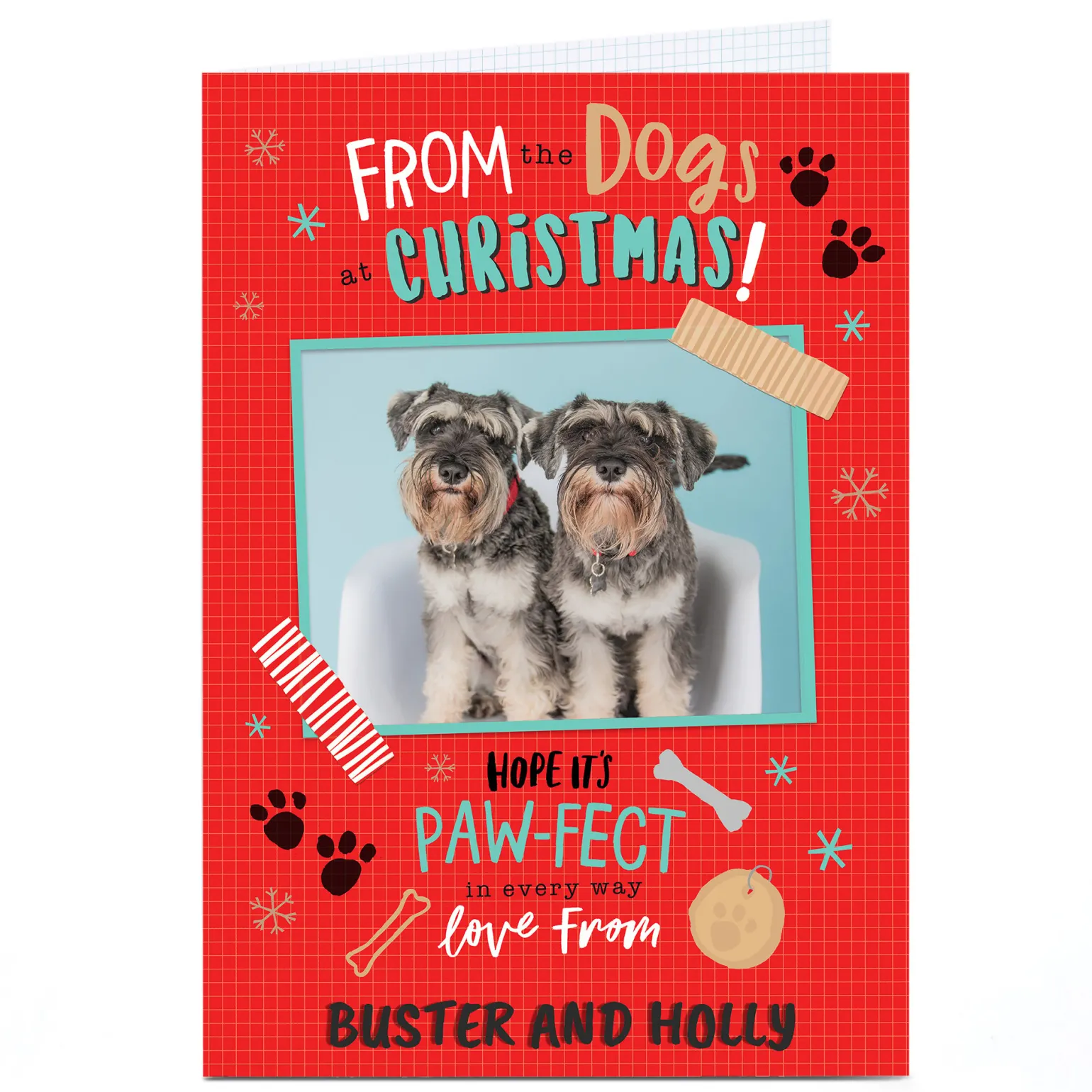 Photo Christmas Card - From The Dogs