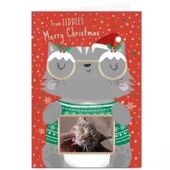Photo Christmas Card - From The Cat Cartoon