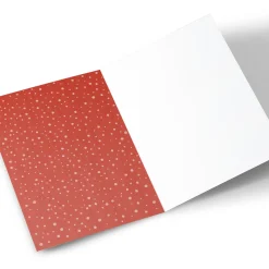 Photo Christmas Card - From The Cat Cartoon