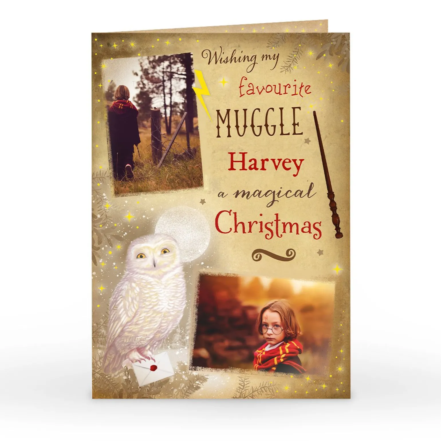 Photo Christmas Card - My Favourite Muggle