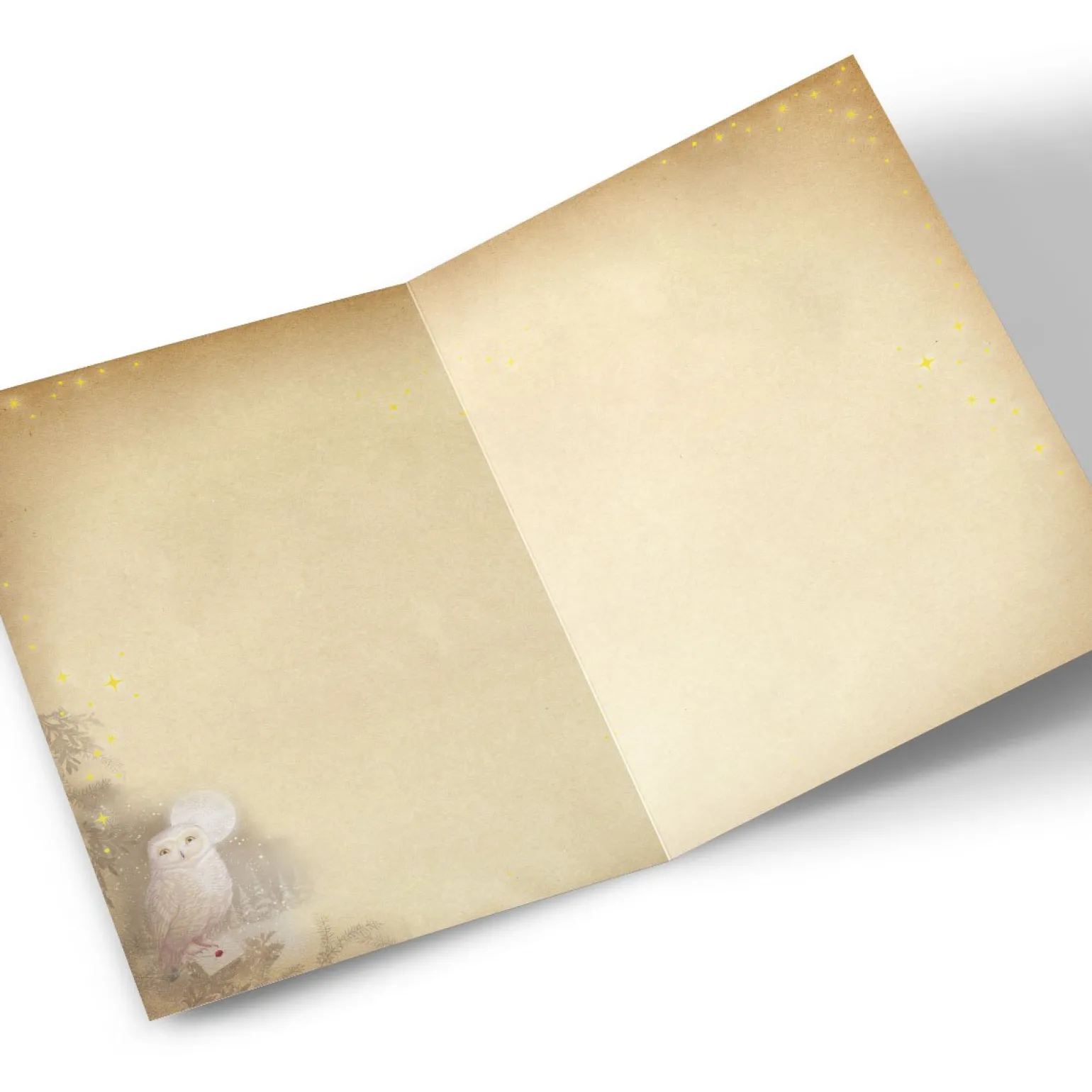 Photo Christmas Card - My Favourite Muggle