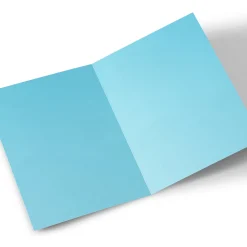 Photo Christmas Card - Penguin Thanks For All The Fun