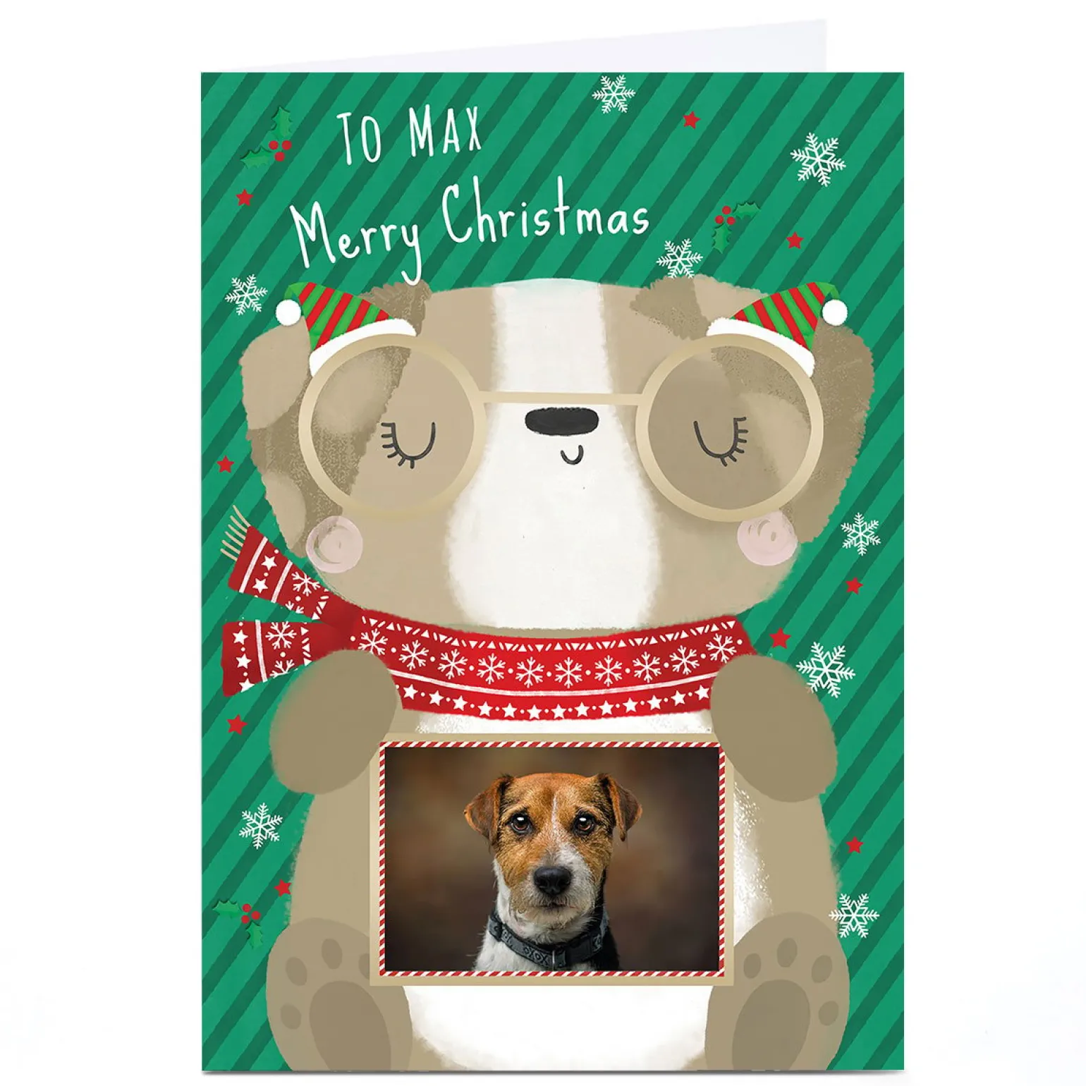 Photo Christmas Card - To The Dog Cartoon
