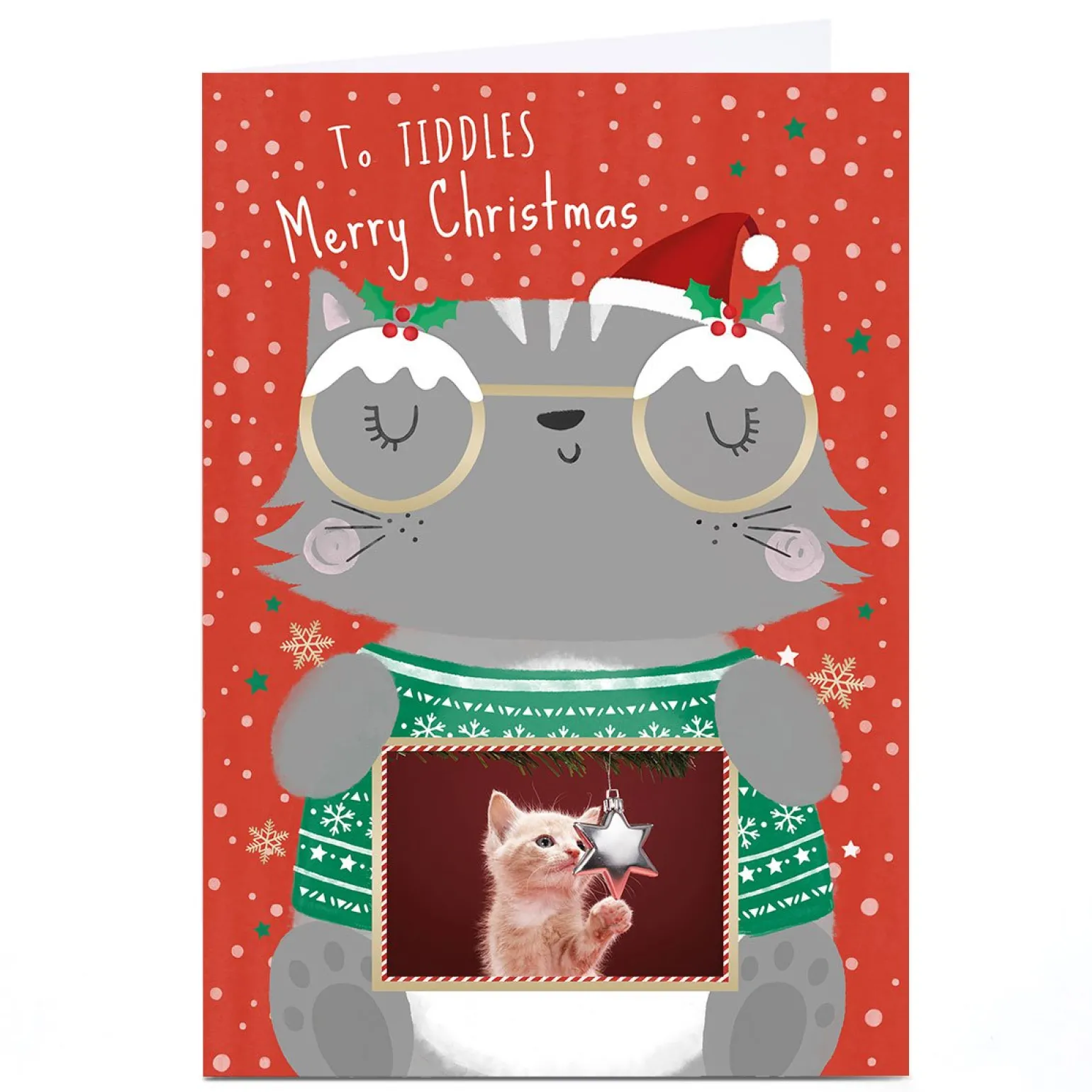 Photo Christmas Card - To The Cat Cartoon