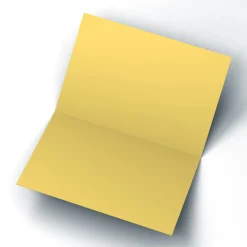 Photo Congratulations Card - Passed Her Test