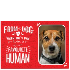 Photo Valentine's Day Card - From The Dog