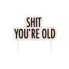 Shit You're Old Cake Candle