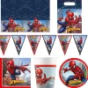Spider-Man Crime Fighter Party Tableware & Decorations - 16 Guests