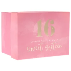 Sweet 16 Living The Dream Mug In A Box